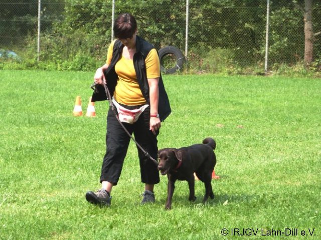 BGVP 27.08.2017